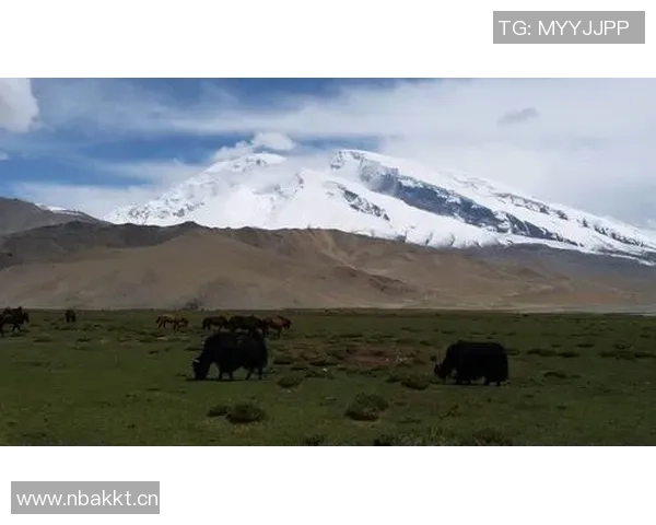 王秋明谈高原适应性问题强调自我反思与客观因素的平衡分析